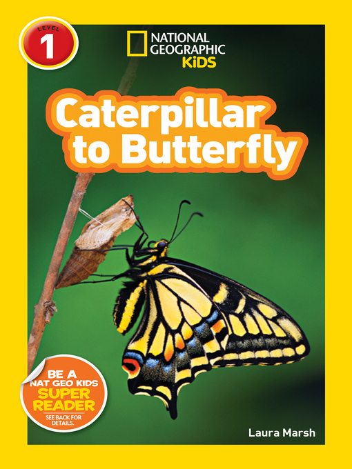 Cover image for Caterpillar to Butterfly